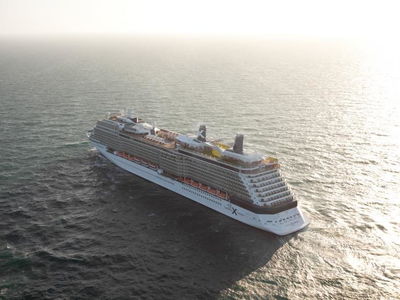 Celebrity Silhouette